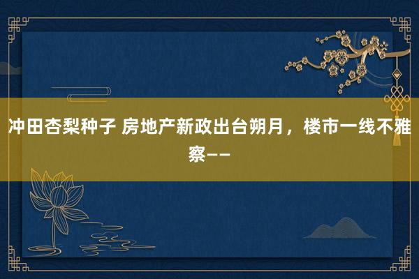 冲田杏梨种子 房地产新政出台朔月，楼市一线不雅察——