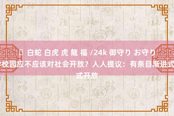 ✨白蛇 白虎 虎 龍 福 /24k 御守り お守り 大学校园应不应该对社会开放？人人提议：有条目渐进式开放