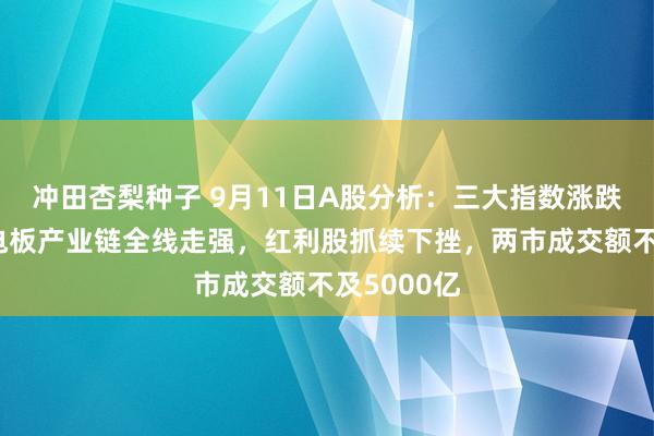 冲田杏梨种子 9月11日A股分析：三大指数涨跌不一，锂电板产业链全线走强，红利股抓续下挫，两市成交额不及5000亿