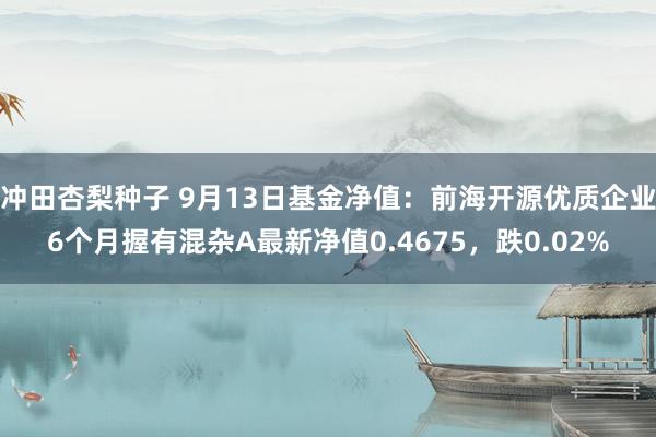 冲田杏梨种子 9月13日基金净值：前海开源优质企业6个月握有混杂A最新净值0.4675，跌0.02%