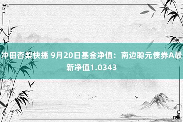 冲田杏梨快播 9月20日基金净值：南边聪元债券A最新净值1.0343