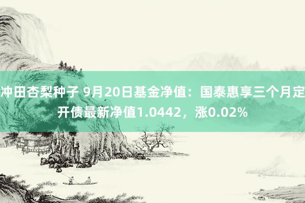 冲田杏梨种子 9月20日基金净值：国泰惠享三个月定开债最新净值1.0442，涨0.02%