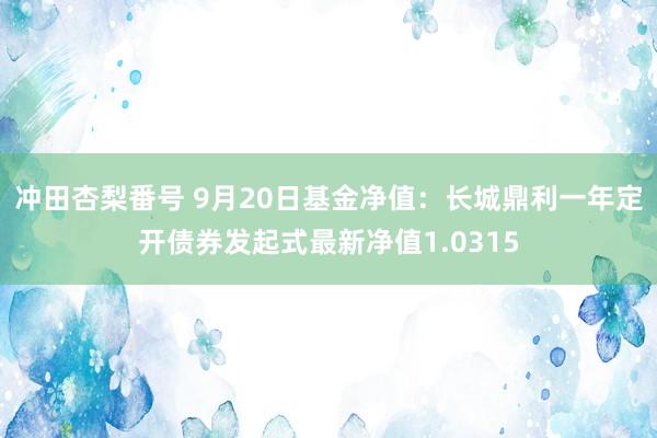 冲田杏梨番号 9月20日基金净值：长城鼎利一年定开债券发起式最新净值1.0315