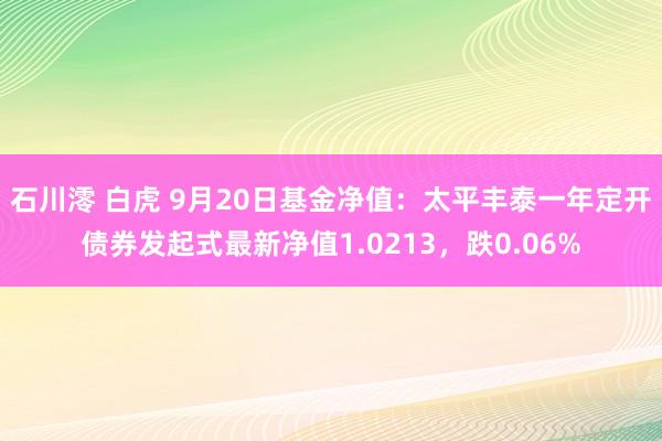 石川澪 白虎 9月20日基金净值：太平丰泰一年定开债券发起式最新净值1.0213，跌0.06%