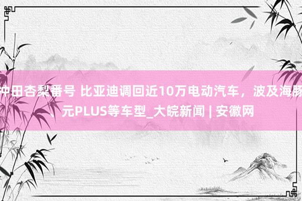 冲田杏梨番号 比亚迪调回近10万电动汽车，波及海豚、元PLUS等车型_大皖新闻 | 安徽网