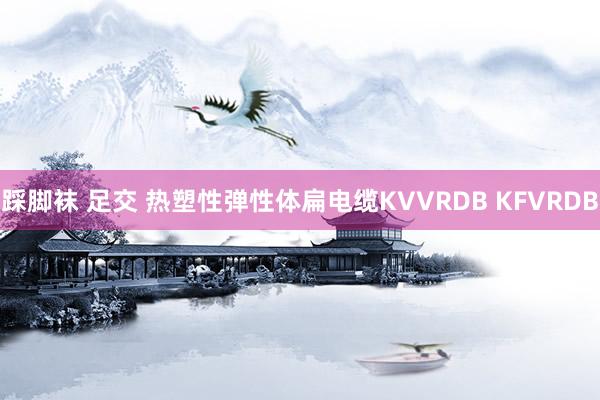 踩脚袜 足交 热塑性弹性体扁电缆KVVRDB KFVRDB