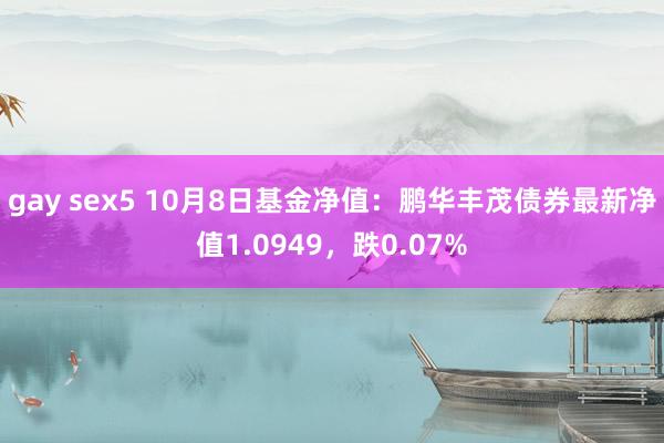 gay sex5 10月8日基金净值：鹏华丰茂债券最新净值1.0949，跌0.07%