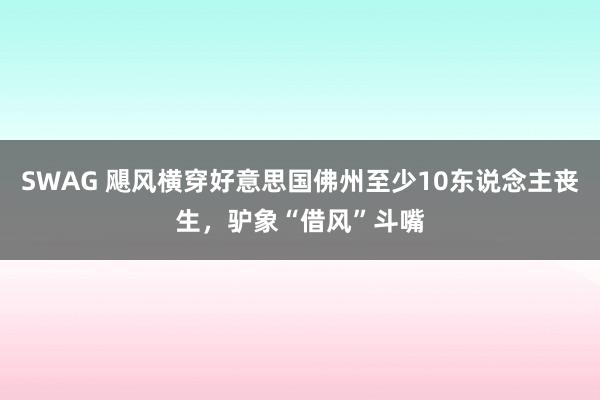 SWAG 飓风横穿好意思国佛州至少10东说念主丧生，驴象“借风”斗嘴