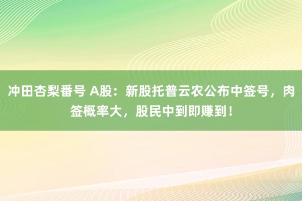 冲田杏梨番号 A股：新股托普云农公布中签号，肉签概率大，股民中到即赚到！