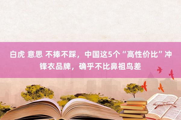 白虎 意思 不捧不踩，中国这5个“高性价比”冲锋衣品牌，确乎不比鼻祖鸟差