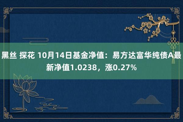 黑丝 探花 10月14日基金净值：易方达富华纯债A最新净值1.0238，涨0.27%