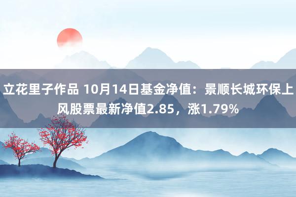 立花里子作品 10月14日基金净值：景顺长城环保上风股票最新净值2.85，涨1.79%