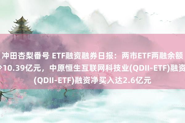 冲田杏梨番号 ETF融资融券日报：两市ETF两融余额较前一来回日减少10.39亿元，中原恒生互联网科技业(QDII-ETF)融资净买入达2.6亿元