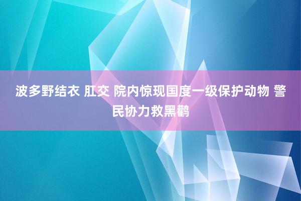 波多野结衣 肛交 院内惊现国度一级保护动物 警民协力救黑鹳