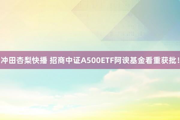 冲田杏梨快播 招商中证A500ETF阿谀基金看重获批！