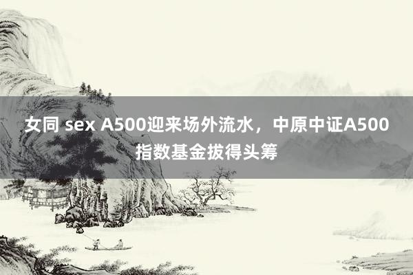 女同 sex A500迎来场外流水，中原中证A500指数基金拔得头筹