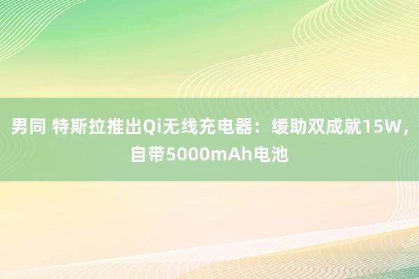 男同 特斯拉推出Qi无线充电器：缓助双成就15W，自带5000mAh电池