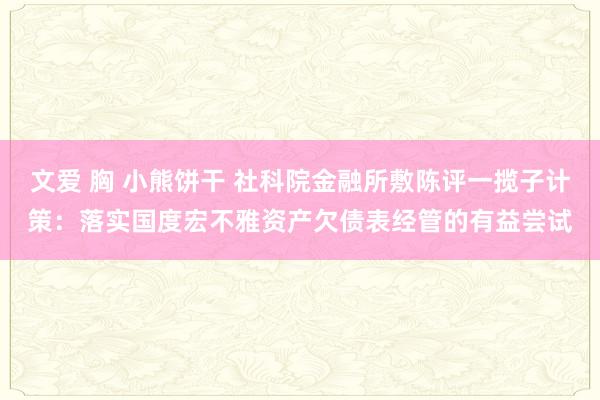 文爱 胸 小熊饼干 社科院金融所敷陈评一揽子计策：落实国度宏不雅资产欠债表经管的有益尝试