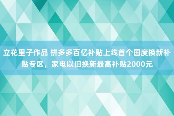 立花里子作品 拼多多百亿补贴上线首个国度换新补贴专区，家电以旧换新最高补贴2000元