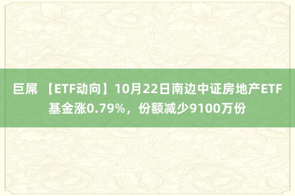 巨屌 【ETF动向】10月22日南边中证房地产ETF基金涨0.79%，份额减少9100万份