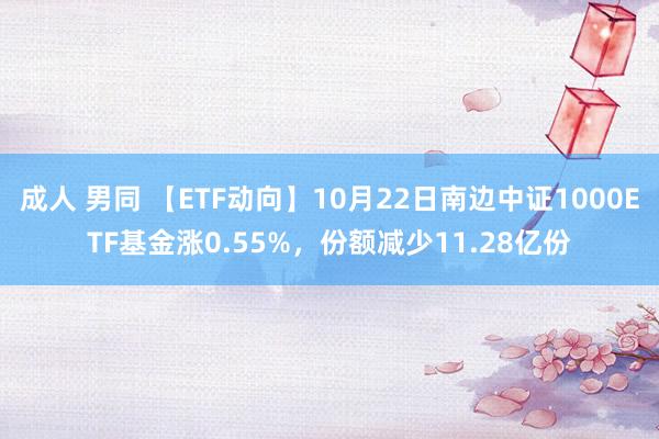 成人 男同 【ETF动向】10月22日南边中证1000ETF基金涨0.55%，份额减少11.28亿份