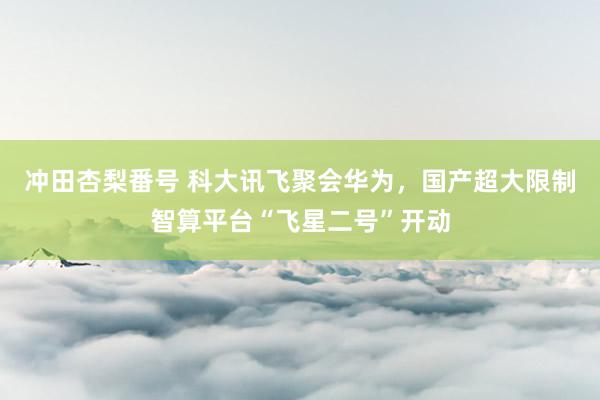 冲田杏梨番号 科大讯飞聚会华为，国产超大限制智算平台“飞星二号”开动