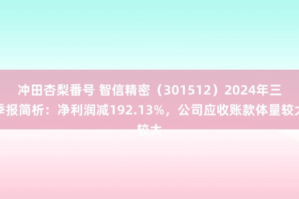 冲田杏梨番号 智信精密（301512）2024年三季报简析：净利润减192.13%，公司应收账款体量较大