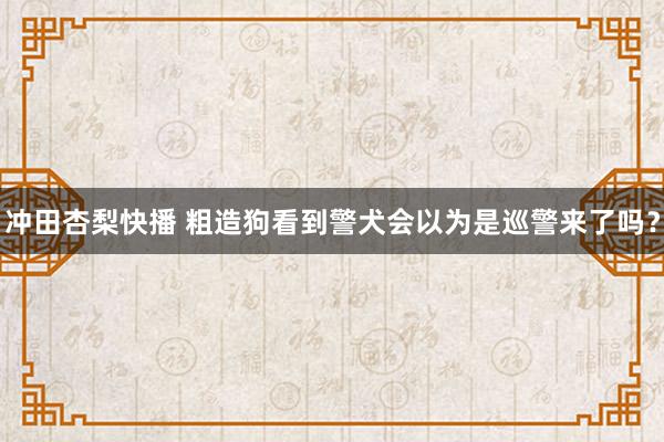 冲田杏梨快播 粗造狗看到警犬会以为是巡警来了吗？