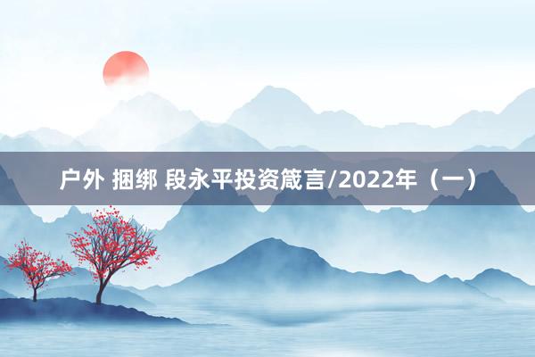 户外 捆绑 段永平投资箴言/2022年（一）