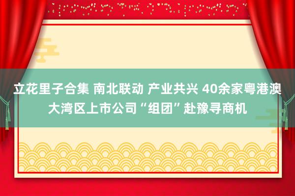 立花里子合集 南北联动 产业共兴 40余家粤港澳大湾区上市公司“组团”赴豫寻商机