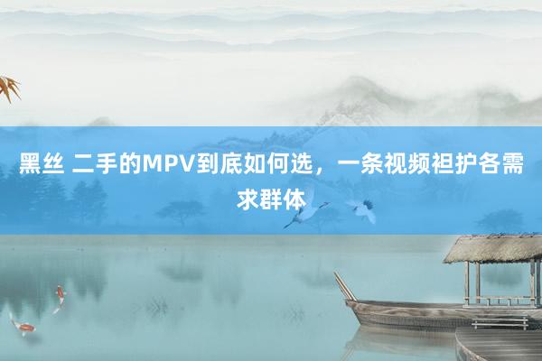 黑丝 二手的MPV到底如何选，一条视频袒护各需求群体