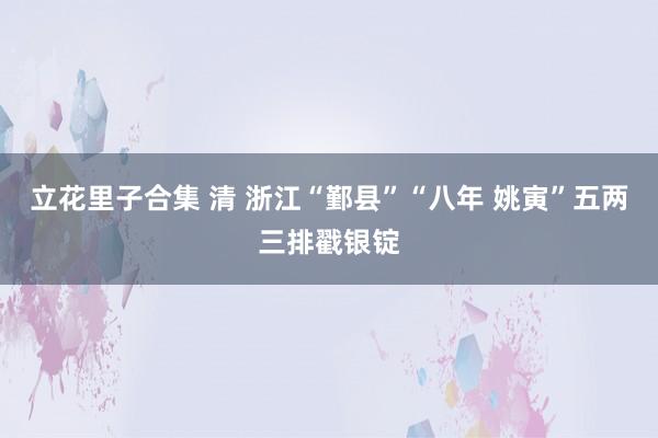 立花里子合集 清 浙江“鄞县”“八年 姚寅”五两三排戳银锭