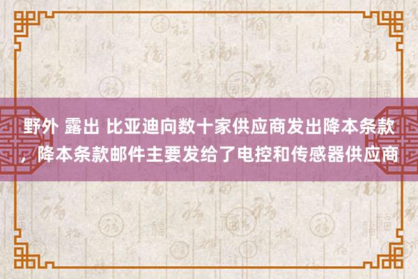 野外 露出 比亚迪向数十家供应商发出降本条款，降本条款邮件主要发给了电控和传感器供应商