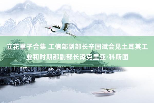 立花里子合集 工信部副部长辛国斌会见土耳其工业和时期部副部长泽克里亚·科斯图