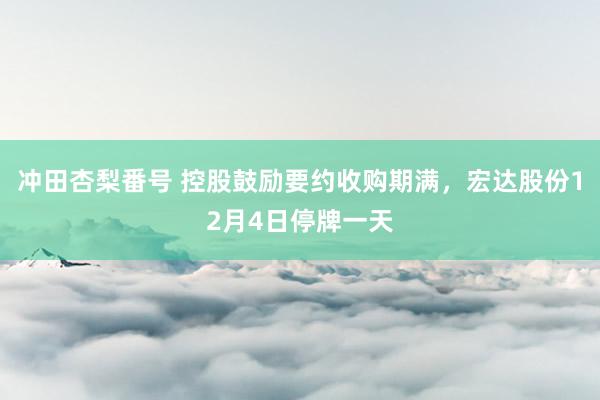 冲田杏梨番号 控股鼓励要约收购期满，宏达股份12月4日停牌一天