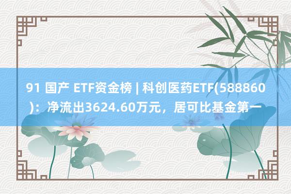 91 国产 ETF资金榜 | 科创医药ETF(588860)：净流出3624.60万元，居可比基金第一