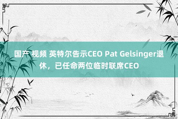 国产 视频 英特尔告示CEO Pat Gelsinger退休，已任命两位临时联席CEO