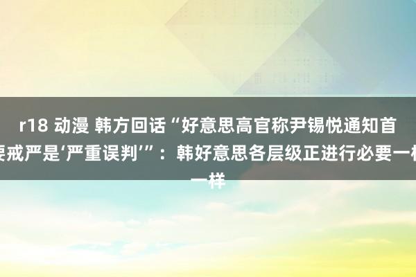 r18 动漫 韩方回话“好意思高官称尹锡悦通知首要戒严是‘严重误判’”：韩好意思各层级正进行必要一样