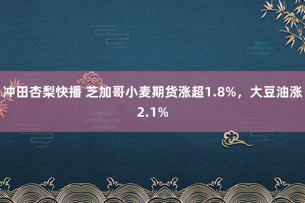 冲田杏梨快播 芝加哥小麦期货涨超1.8%，大豆油涨2.1%