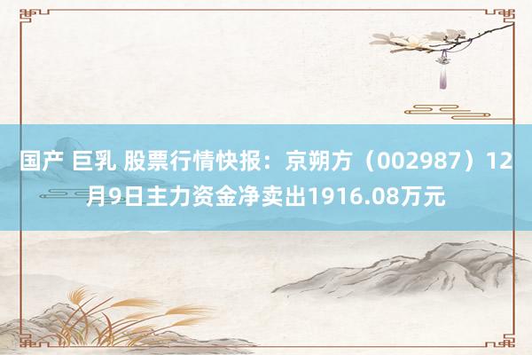 国产 巨乳 股票行情快报：京朔方（002987）12月9日主力资金净卖出1916.08万元