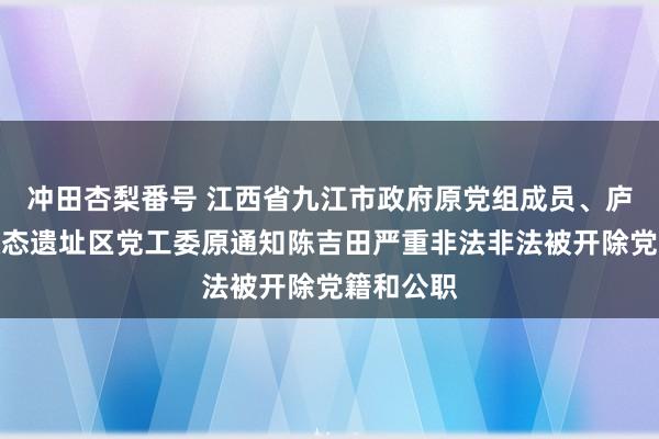 冲田杏梨番号 江西省九江市政府原党组成员、庐山西海状态遗址区党工委原通知陈吉田严重非法非法被开除党籍和公职