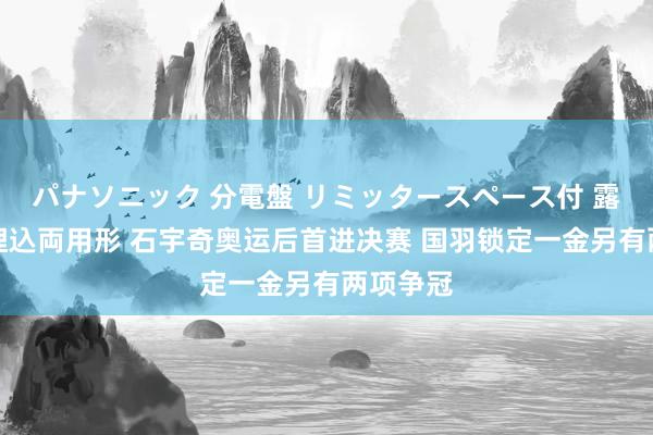 パナソニック 分電盤 リミッタースペース付 露出・半埋込両用形 石宇奇奥运后首进决赛 国羽锁定一金另有两项争冠