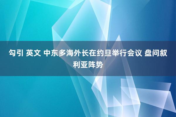 勾引 英文 中东多海外长在约旦举行会议 盘问叙利亚阵势