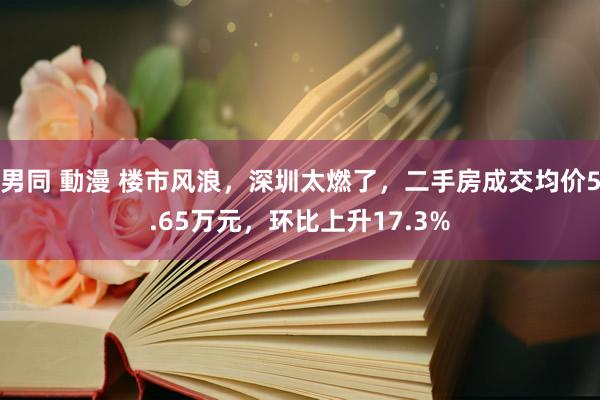 男同 動漫 楼市风浪，深圳太燃了，二手房成交均价5.65万元，环比上升17.3%