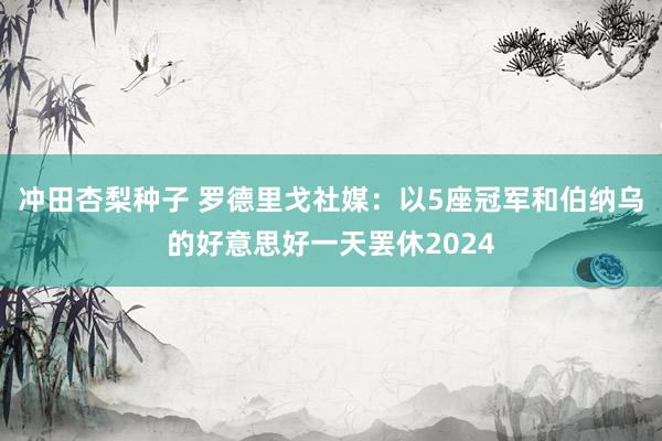 冲田杏梨种子 罗德里戈社媒：以5座冠军和伯纳乌的好意思好一天罢休2024