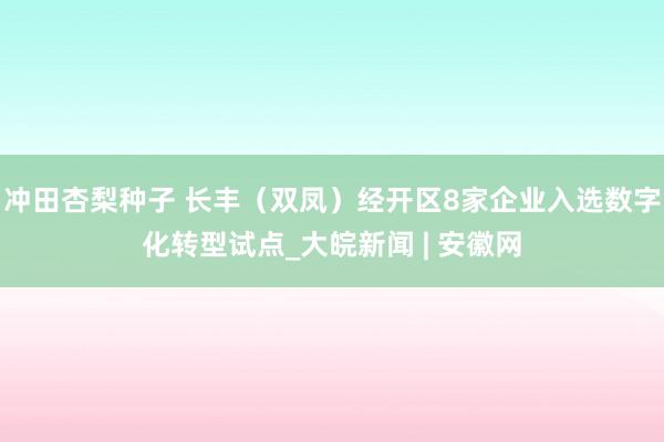 冲田杏梨种子 长丰（双凤）经开区8家企业入选数字化转型试点_