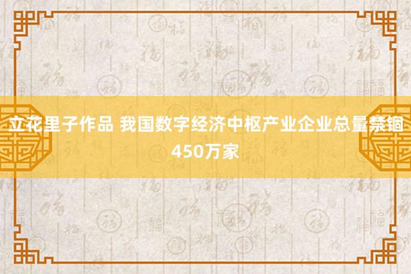 立花里子作品 我国数字经济中枢产业企业总量禁锢450万家