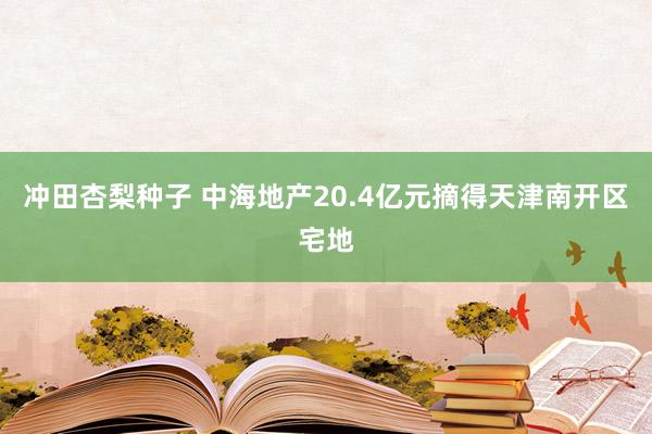 冲田杏梨种子 中海地产20.4亿元摘得天津南开区宅地