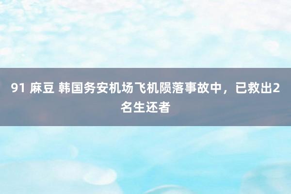 91 麻豆 韩国务安机场飞机陨落事故中，已救出2名生还者