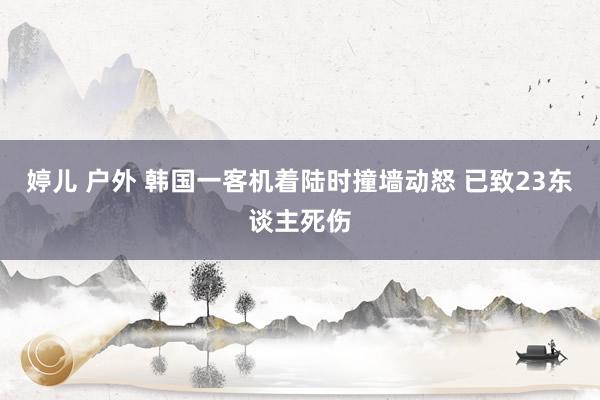 婷儿 户外 韩国一客机着陆时撞墙动怒 已致23东谈主死伤